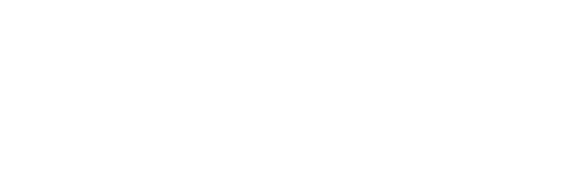 Cate Custom Cakes